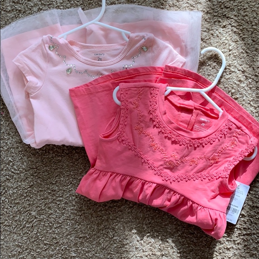 Carter’s 2 Dress Bundle